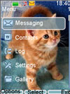 Тема для Nokia s40 Британские котята Тема для Nokia s40 Британские котята