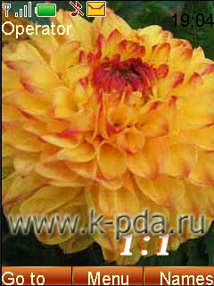 Тема для Nokia s40 Георгин Тема для Nokia s40 Георгин