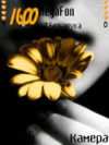 Тема для Nokia s60 sis nth Ромашка
